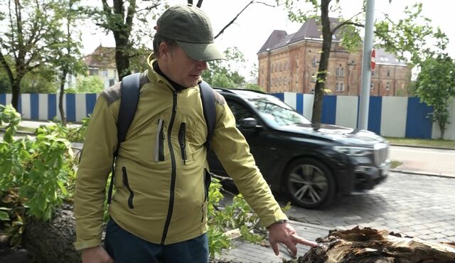 ветер 9 июня 8111077756
