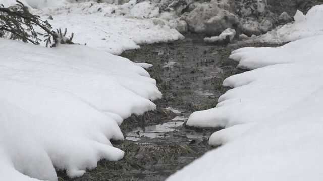 голубево канализация 0335566754