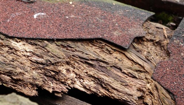 дом в зеленоградске 77613332323