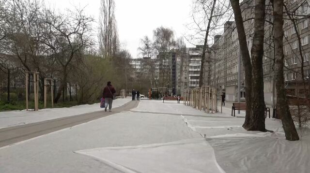 дятлова прогулка 24243231242345