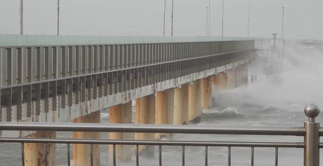 «Стихия разбушевалась»: В Зеленоградске ветер валит деревья