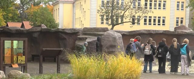 Калининградский зоопарк выделил на ремонт главного здания 26 млн рублей