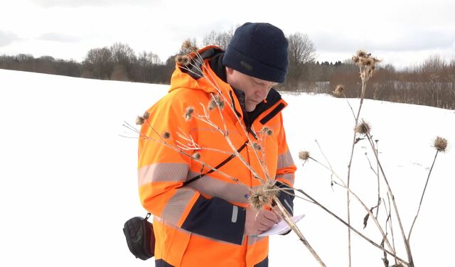 клещи 9244556511