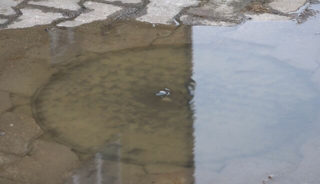 ласкино канализация 822454544