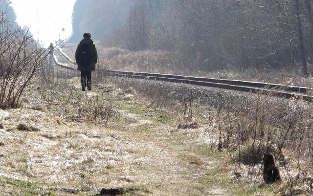 отважное 88222454445