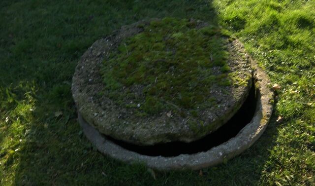 петрово 92220044465