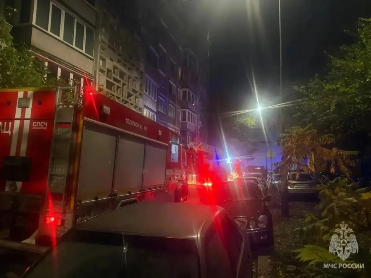 В Калининграде при пожаре погибла женщина и больше 20 кошек. В Калининграде при пожаре погибла женщина и больше 20 кошек.