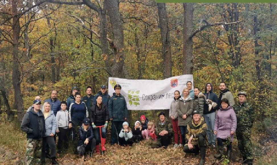 Калининградцев приглашают сажать лес в природном парке «Виштынецкий»