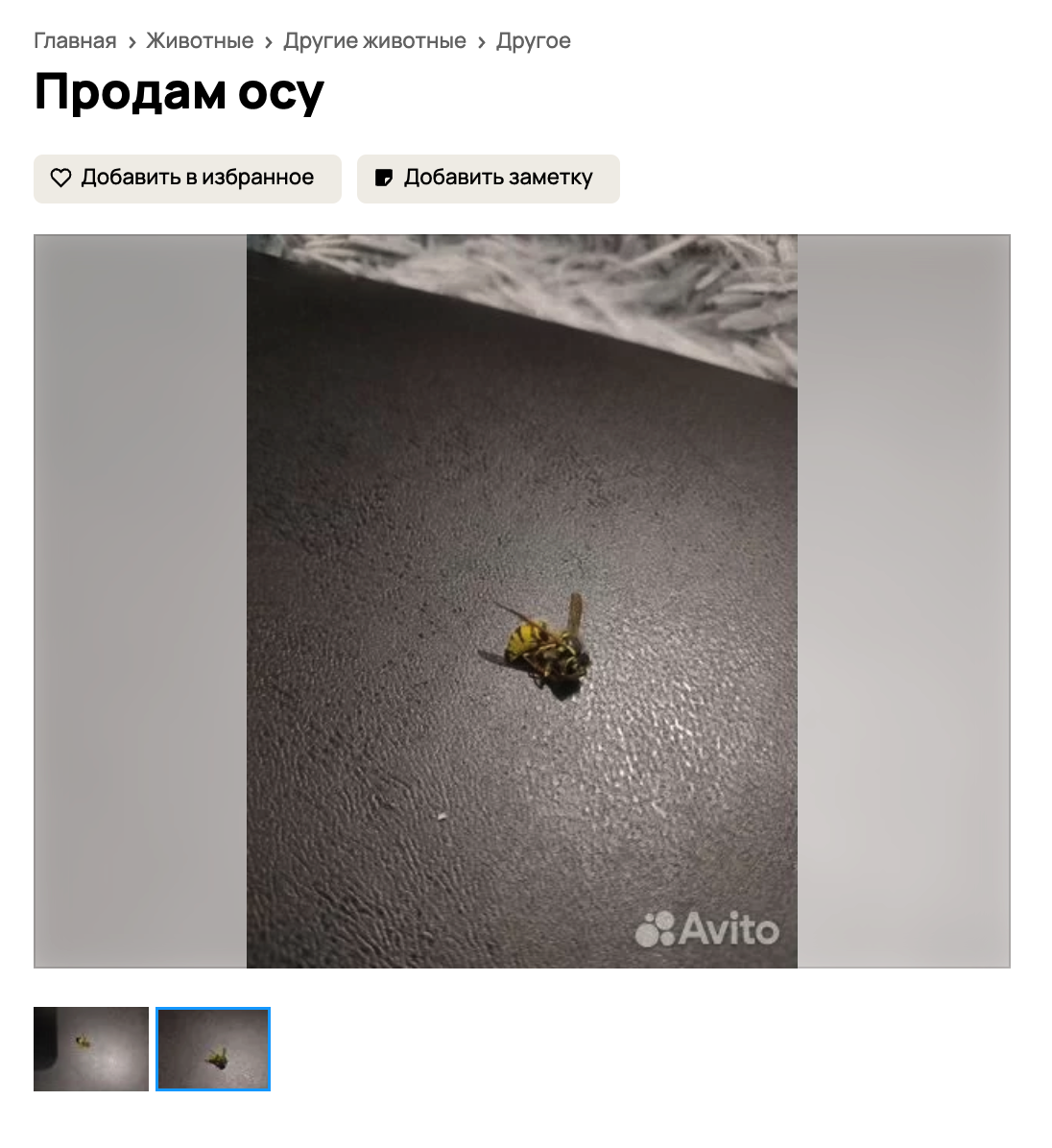 снимок экрана 2023 09 11 в 15.01.23