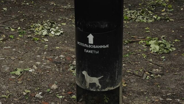 собачьи площадки 92200012