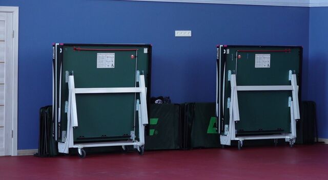 спортшкола 900133234423