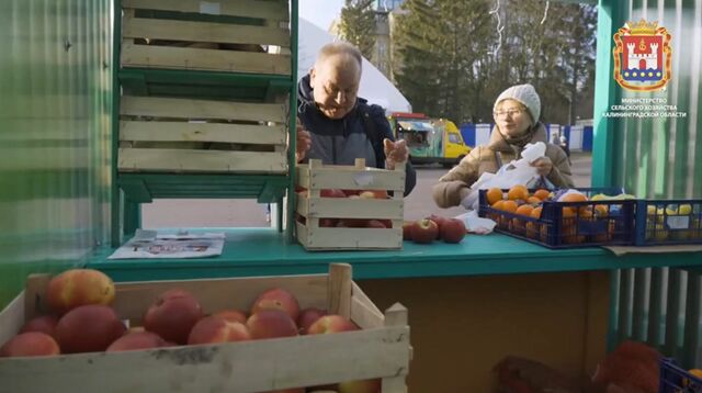 На стадионе в Калининграде открылась фермерская ярмарка