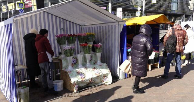 В Калининграде начался цветочный «бум»