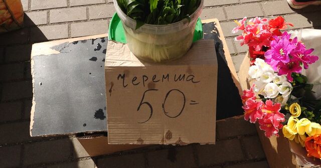 черемша 877667112121